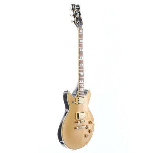 Ibanez ar250dx gold modified - ibanez,