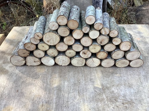 Small sticks and logs - sticks,