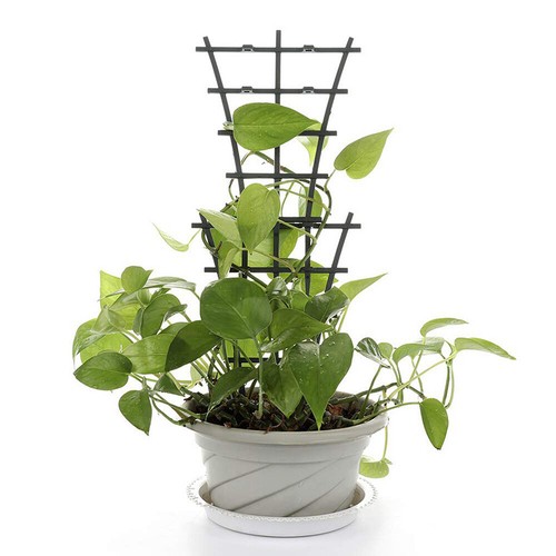Garden trellis for - garden,