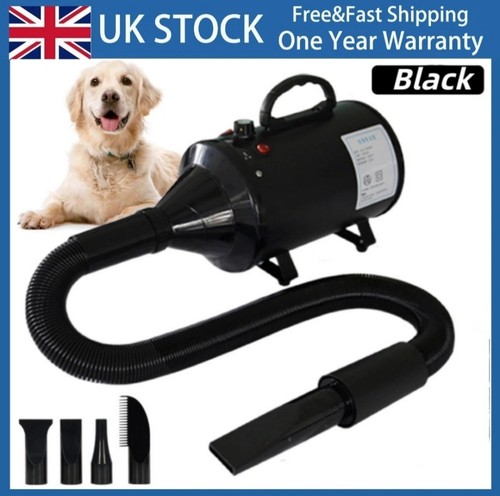 Dog cat pet hair - cat,