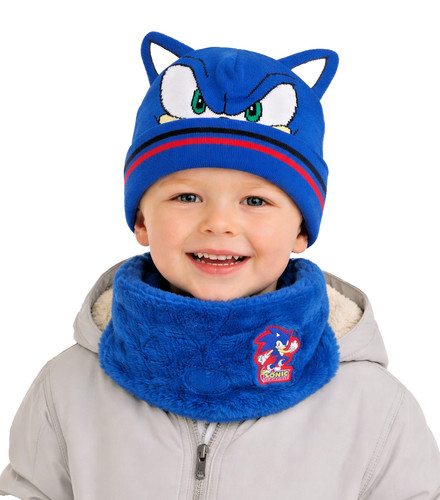 Sonic the hedgehog kids - hedgehog, winter