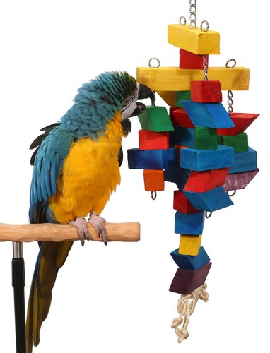 Cubism parrot toy for - xl,