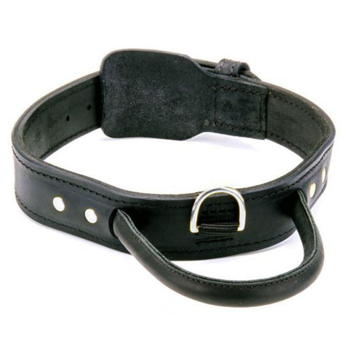 Dog collar with handle real - with,