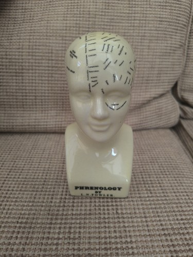 Phrenology head fowler - head, n