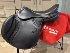 17.5” Whitaker Overton jump