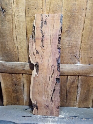 Live edge yew slab - yew, (369)