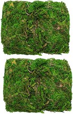 TRIXES Decorative Dried Green