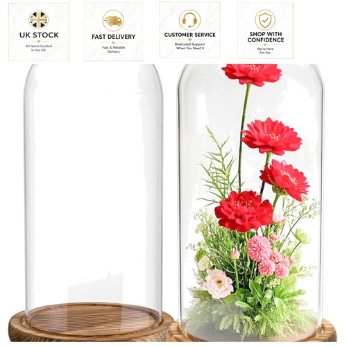Hand blown glass cloche - hand-blown,