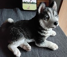 Husky Sled Dog Pup By HotAnt
