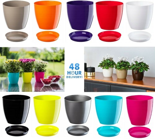 Plant flower pot - plant, 20