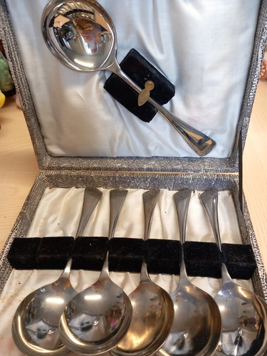 Canteen dessert spoons - canteen,