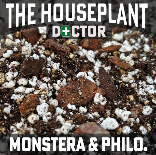 Monstera philodendron - &,