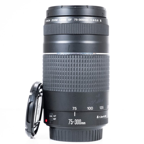 Canon 300mm 5 6 iii - canon, f/4.0-5.6