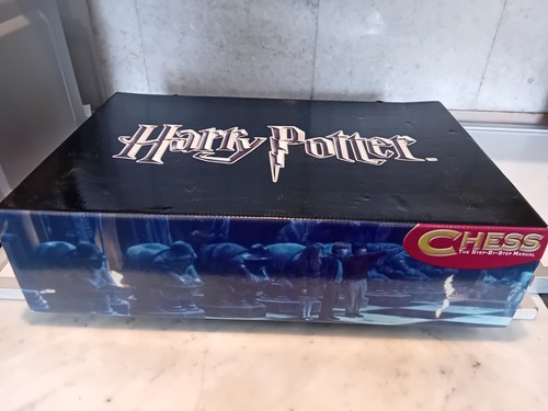Harry potter 2007 - 2007, chess