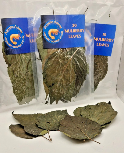 Mulberry leaves for - leaves, (whole)