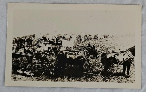 Rppc horse drawn plow - horse,