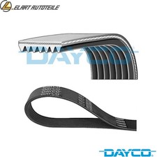 V-RIBBED BELT 7PK1569 FOR