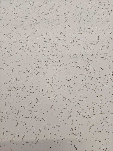 Suspended ceiling tiles - ceiling,