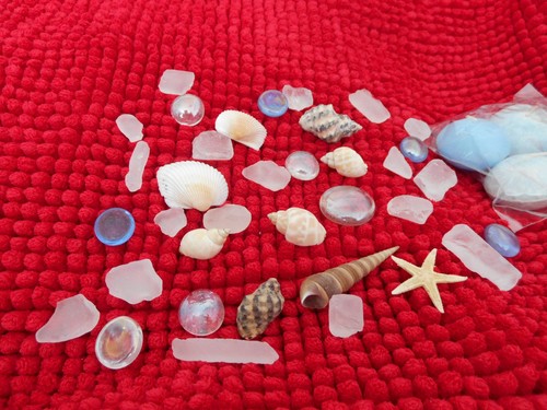 Sea shells bundle