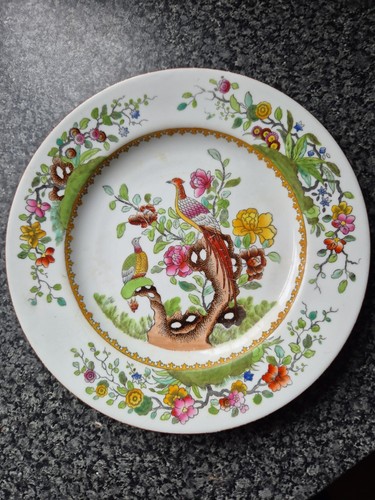 Antique copeland spode - ,