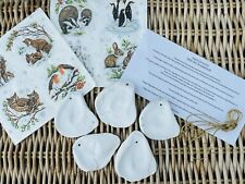 oyster shells for craft