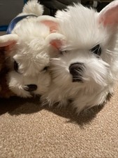 Keel Toys Cuddle Puppies-