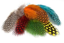 Lureflash Guinea Fowl Feathers Fly Tying Fly Fishing