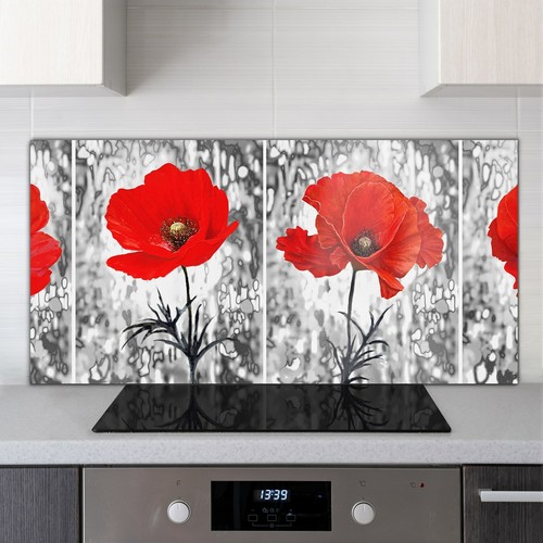 Toughened glass kitchen cooker - toughened,