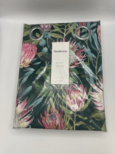 Sanderson king protea - king, pair