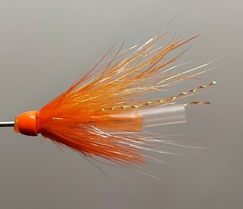 Polar junction shrimp salmon - junction,