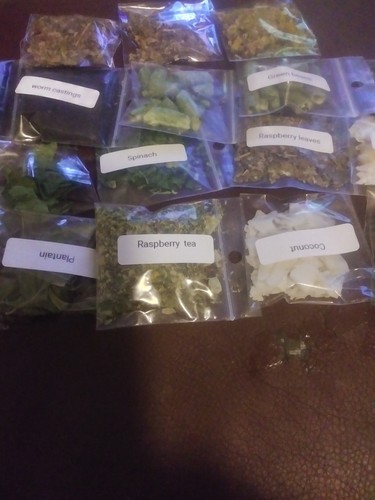 Land hermit crab food - hermit, food/treat's