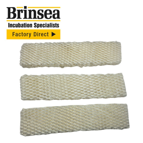 Evaporating blocks for - x3,