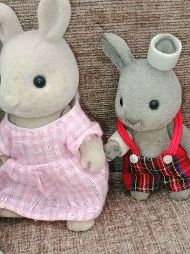 Bundle sylvanian families - of,