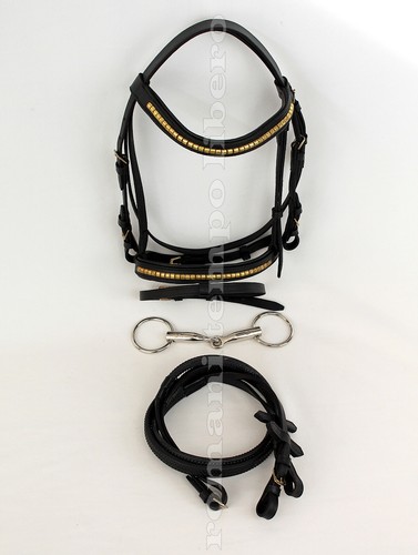 Complete english bridle - english, in