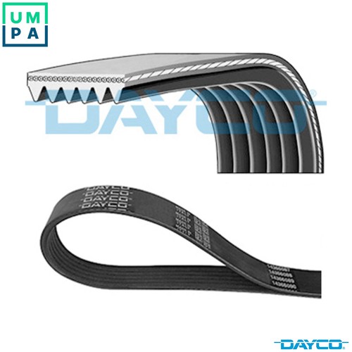 Vribbed belt 6pk1885 - vribbed, for