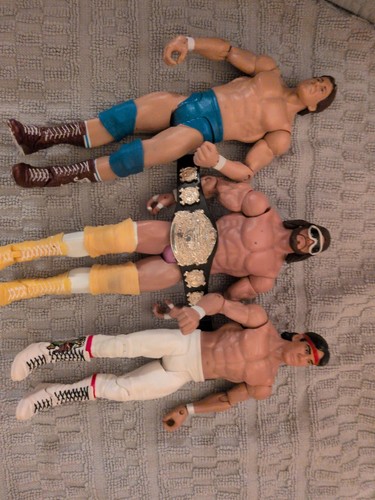 2011 wwe macho man randy - wwe,