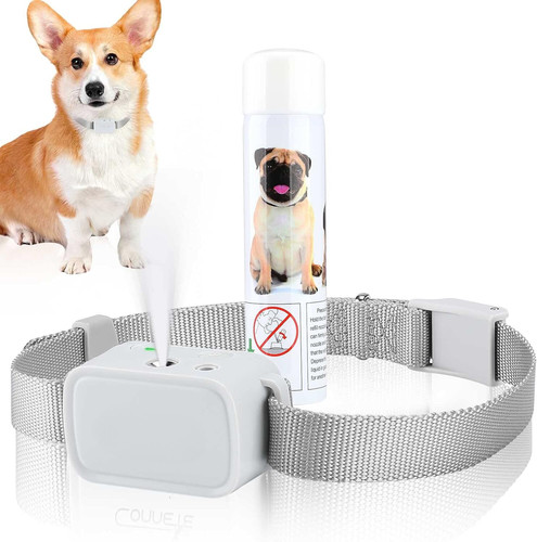 High quality automatic dog - high,