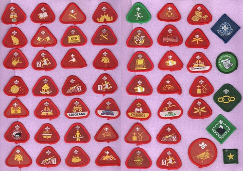 Scouting boy scouts cub - scouting/boy,