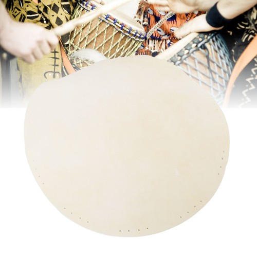 Goat skin drum - goat, head