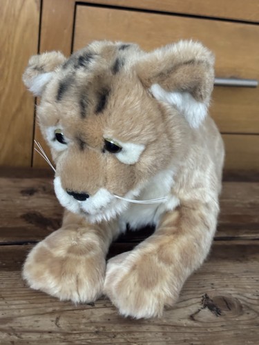 Living nature tiger - tiger, cub
