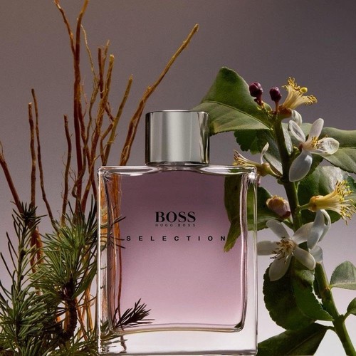 Boss selection new unwanted - boss, new,
