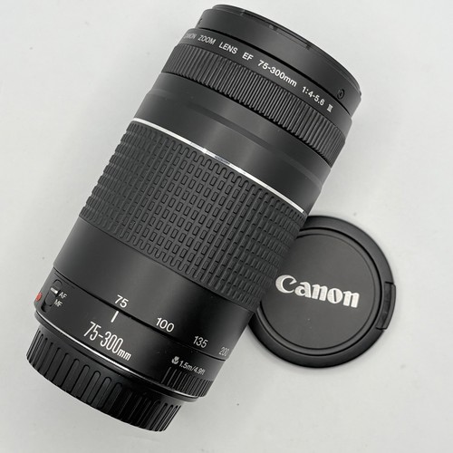 Canon 300mm 5 6 iii - canon, 75-300mm
