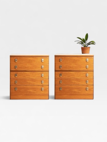 Stag cantata pair - pair, 2