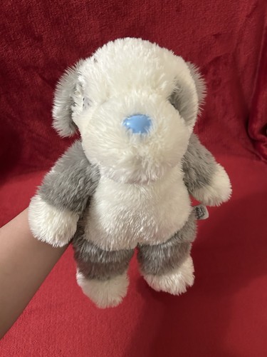 Tatty teddy blue nose - my,