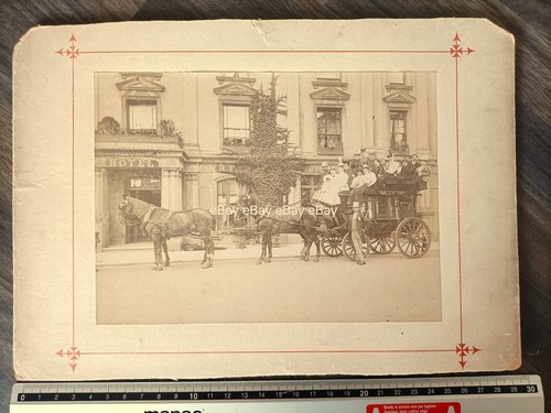 Horse carriage stagecoach - horse, carriage/stagecoach