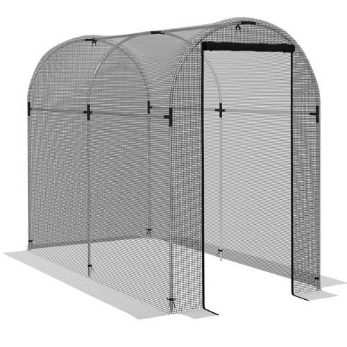 Fruit cage plant protection - fruit,