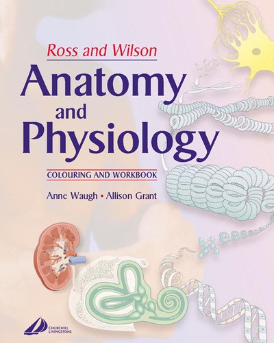 Ross and wilson anatomy - :,