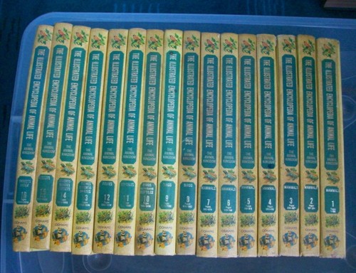 Volume set new illustrated - 16,