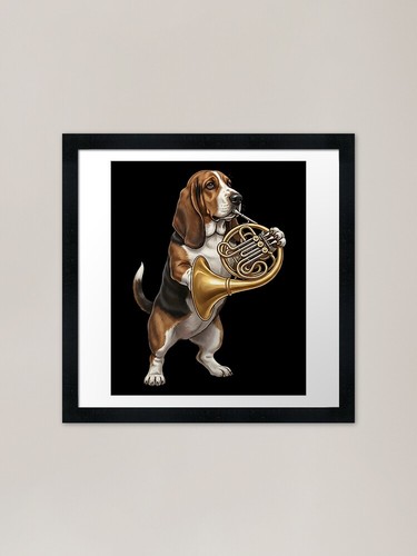 Basset hound playing french - playing,