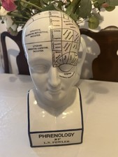 Rare L N Fowler Coloured version Phrenology Head 30cm Tall